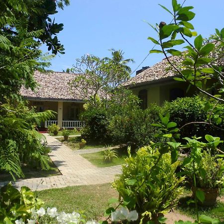 Top Of The Hill Guesthouse Weligama Esterno foto