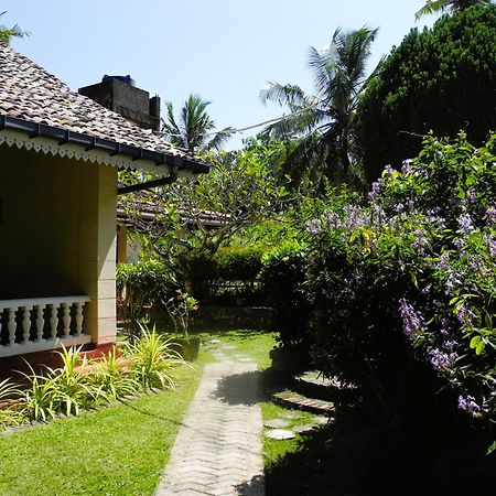 Top Of The Hill Guesthouse Weligama Esterno foto
