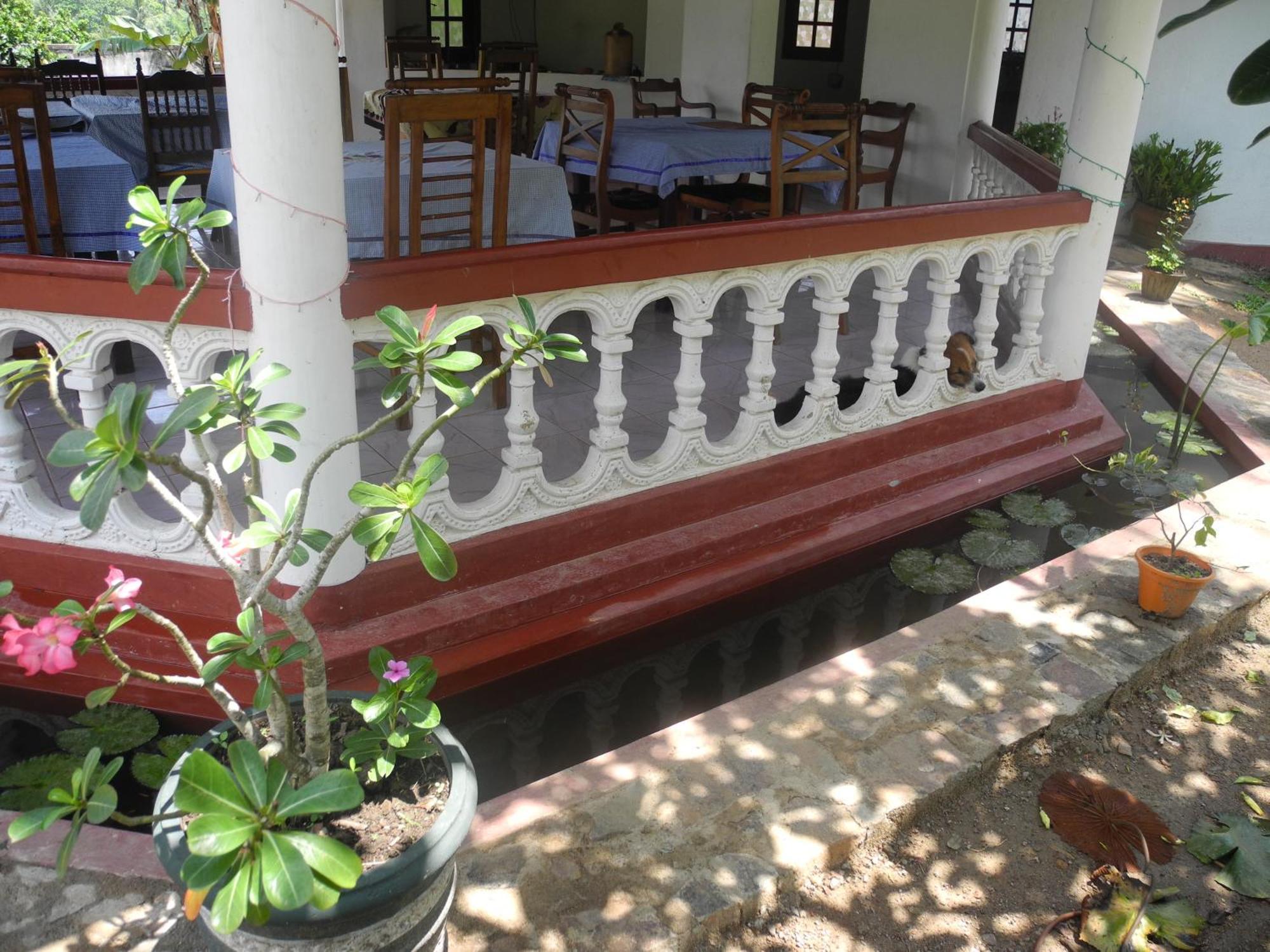 Top Of The Hill Guesthouse Weligama Esterno foto