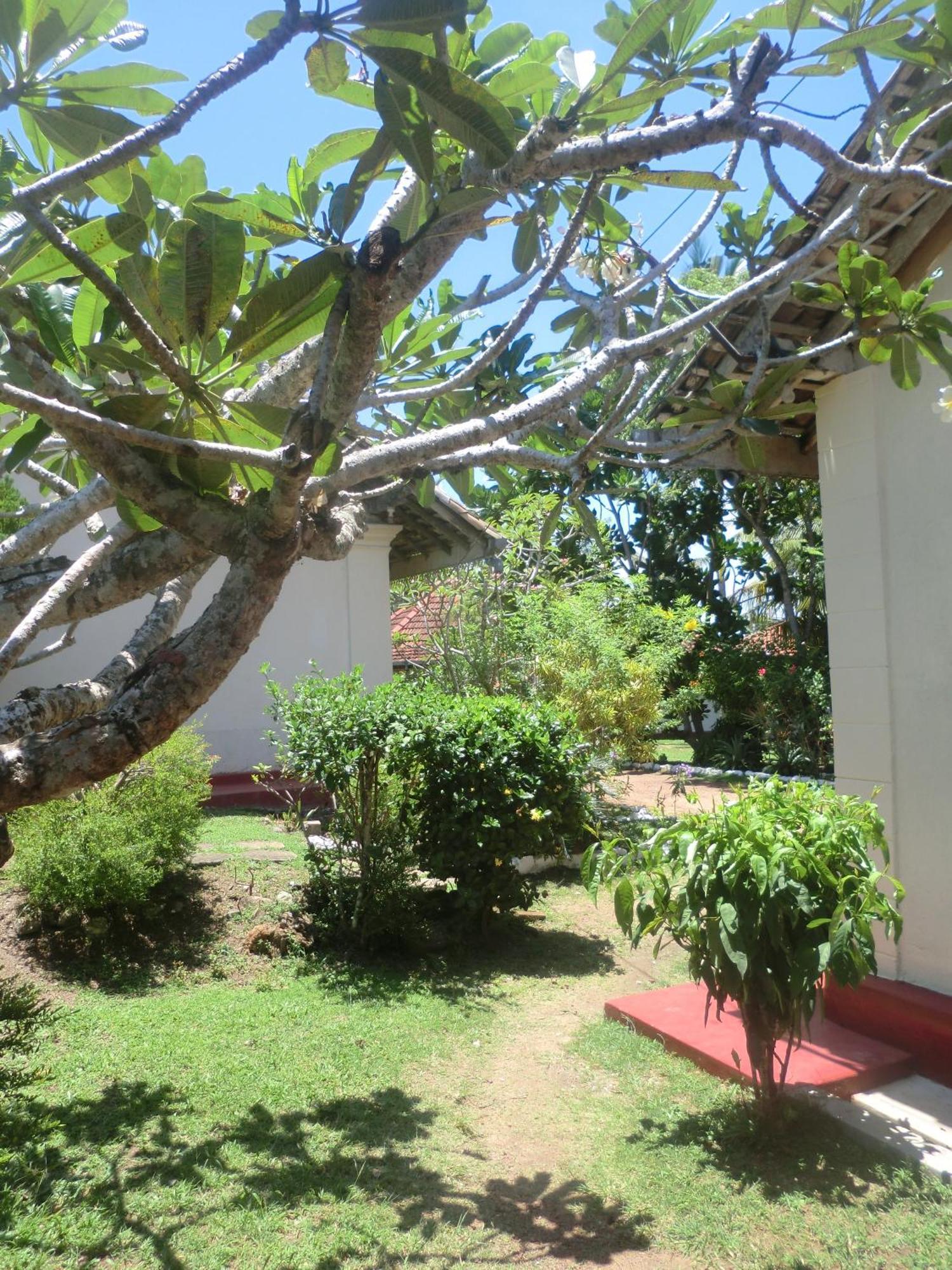 Top Of The Hill Guesthouse Weligama Esterno foto