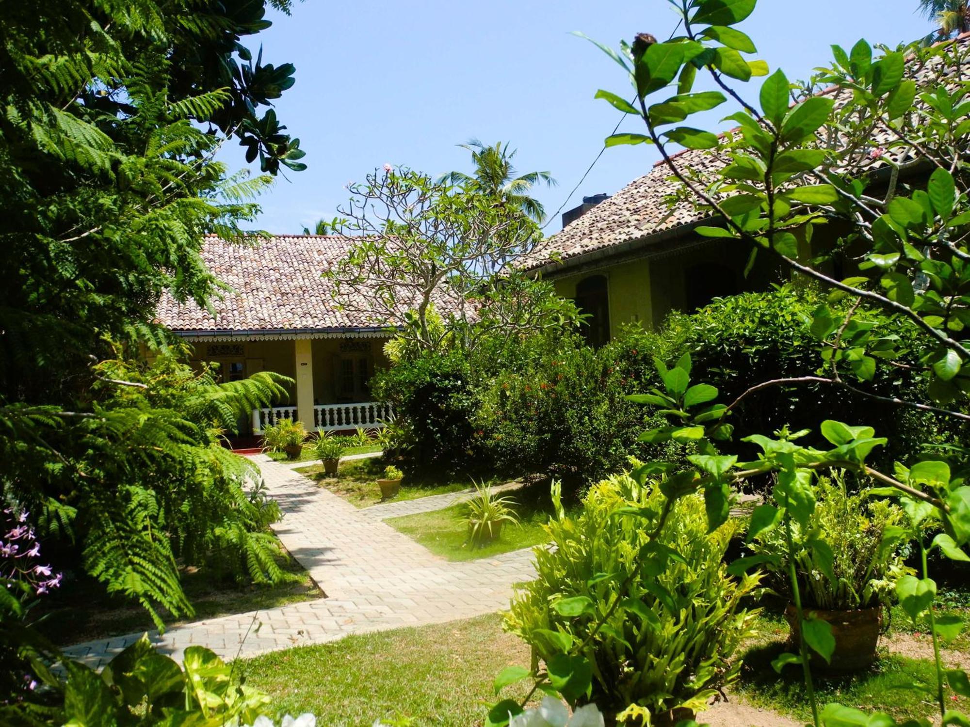 Top Of The Hill Guesthouse Weligama Esterno foto