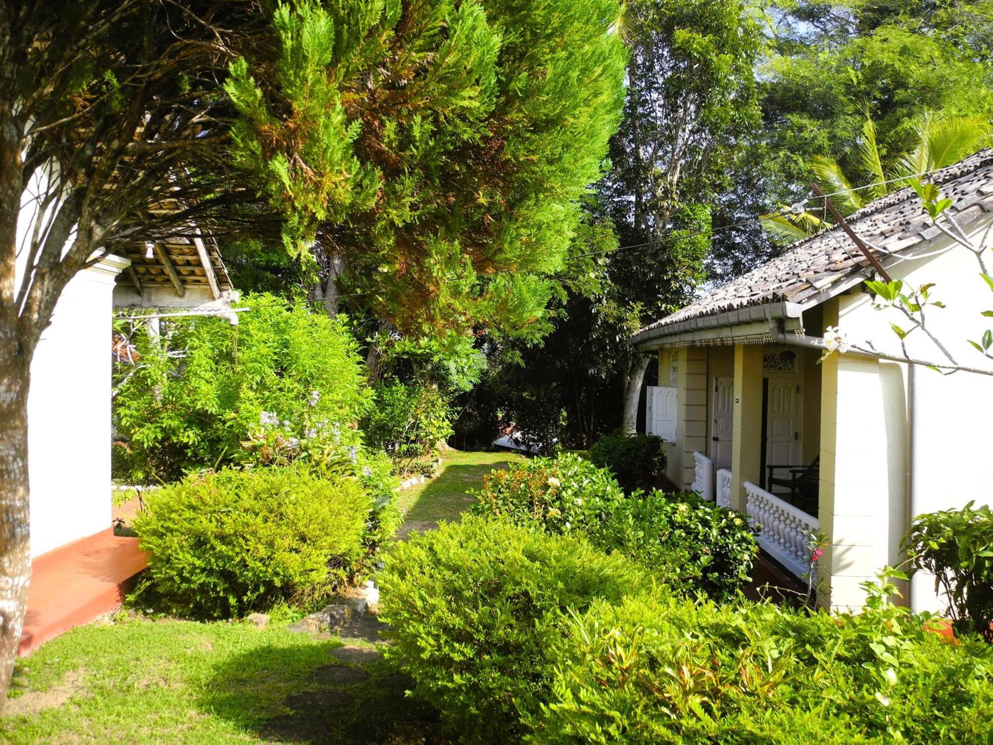 Top Of The Hill Guesthouse Weligama Esterno foto