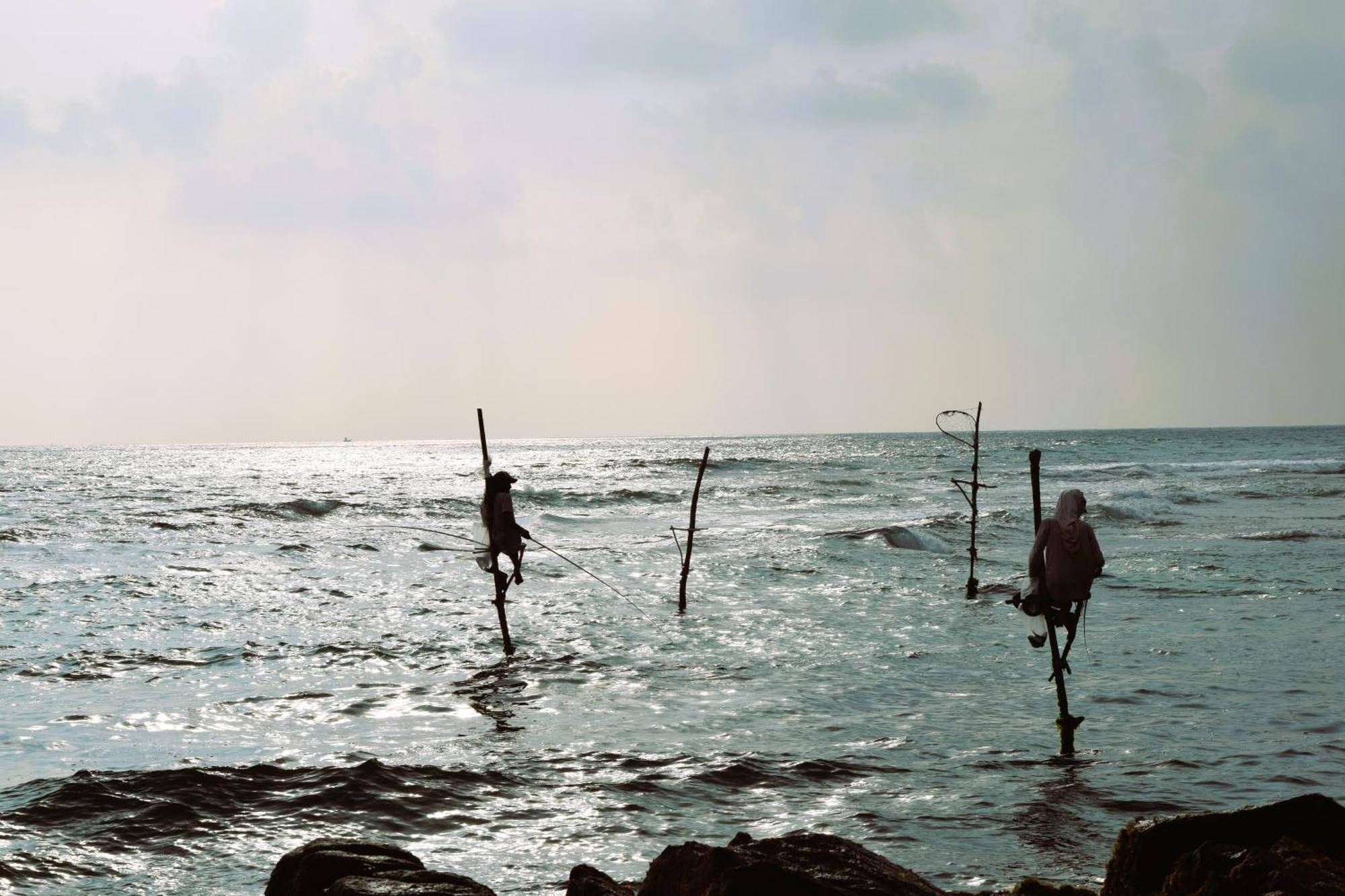 Top Of The Hill Guesthouse Weligama Esterno foto